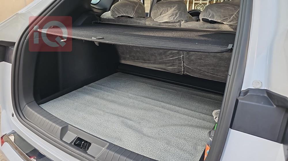 بي واي دي سونغ بلس